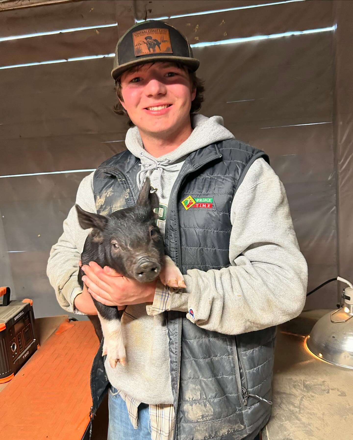 A cared-for companion animal